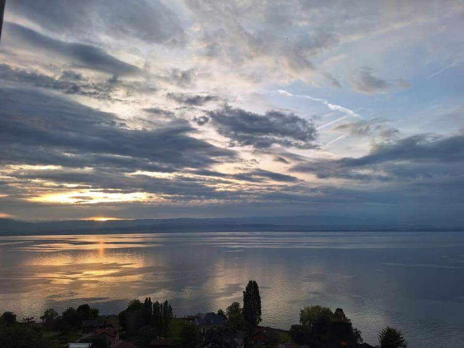 Appartement Avec Vue 180 Sur Le Lac Leman Thonon-les-Bains Dış mekan fotoğraf